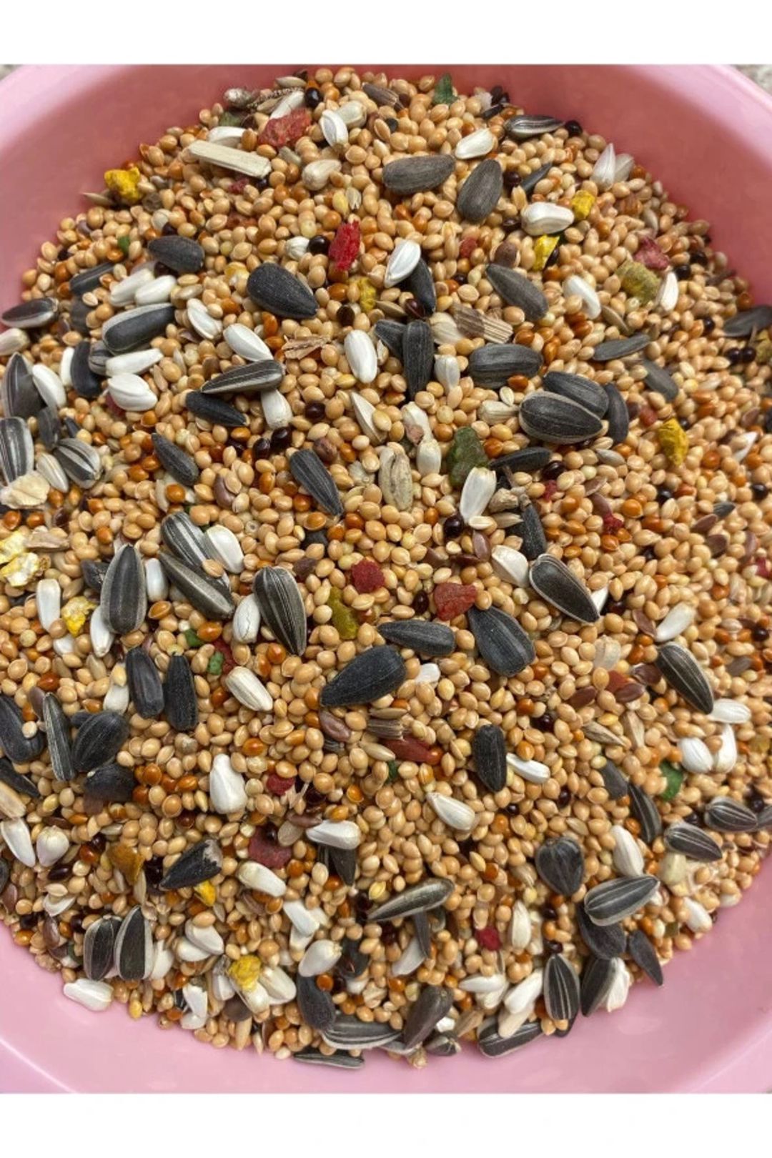 Yem Zoolife tutuquşular üçün, 1 kq — Mallar, Bakı