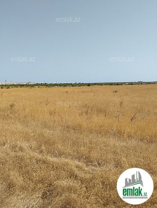 Satılır 450 sot torpaq Xızı — Torpaq (3)