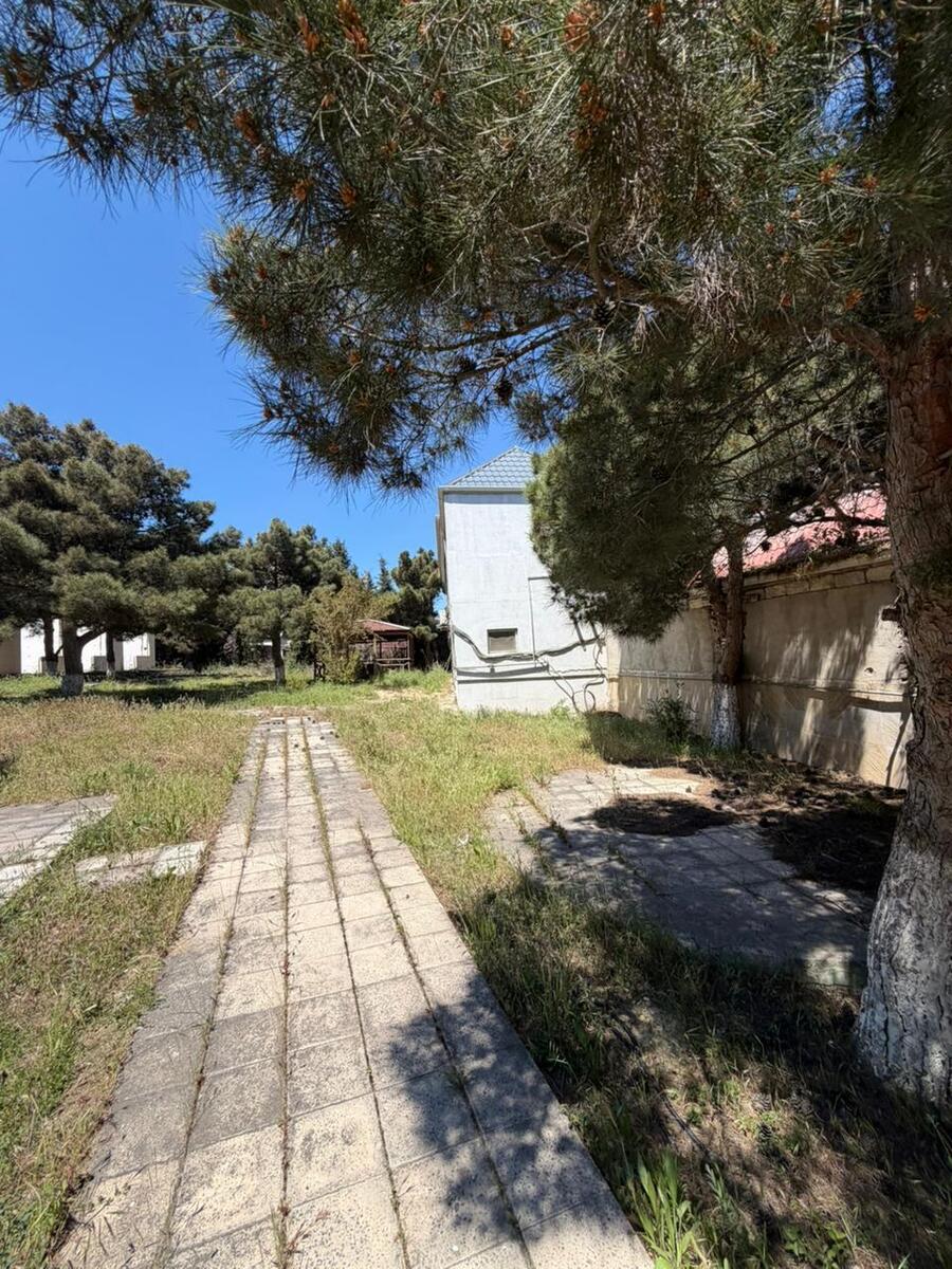 Satılır torpaq 30 sot — Torpaq, Bakı (9)