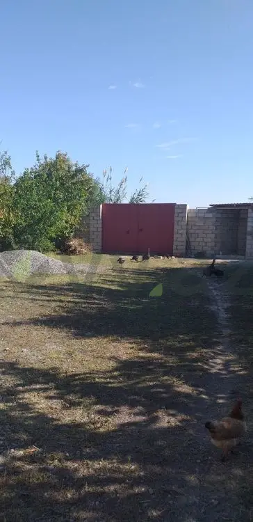 4 otaqlı Həyət evi Satılır, Bərdə — Ev, villa, Bərdə (8)