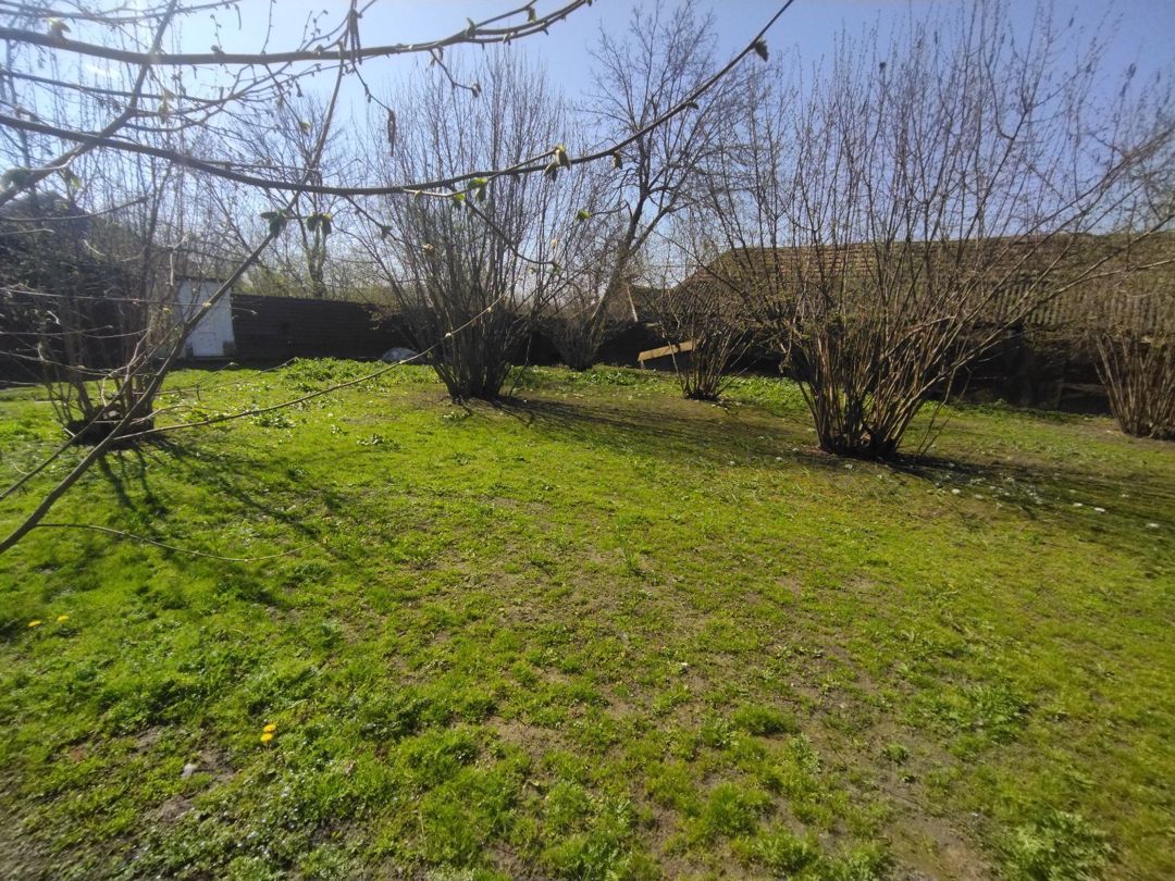10 sot torpaq sahəsi, Qəbələ r — Torpaq, Qəbələ (6)
