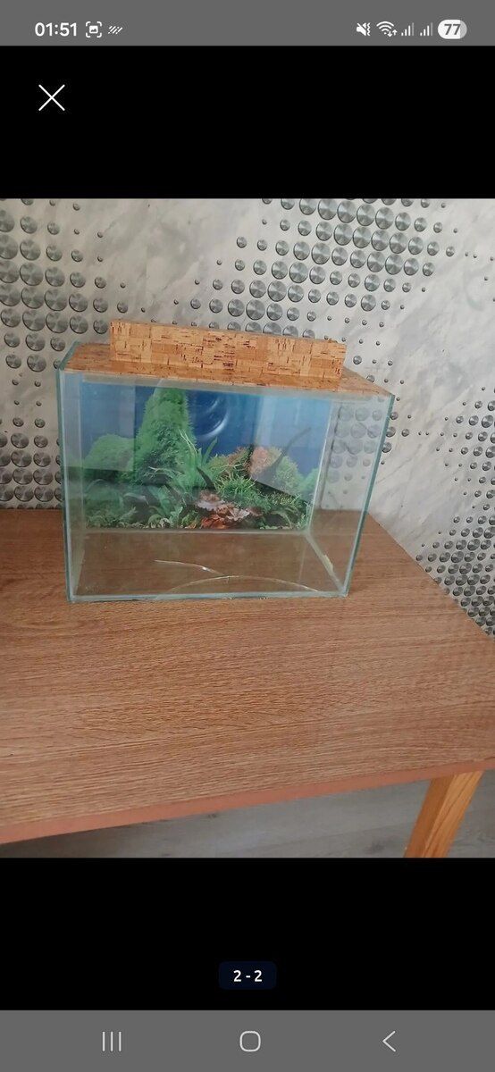 Akvarium — Akvariumlar və balıqlar, Bakı (2)