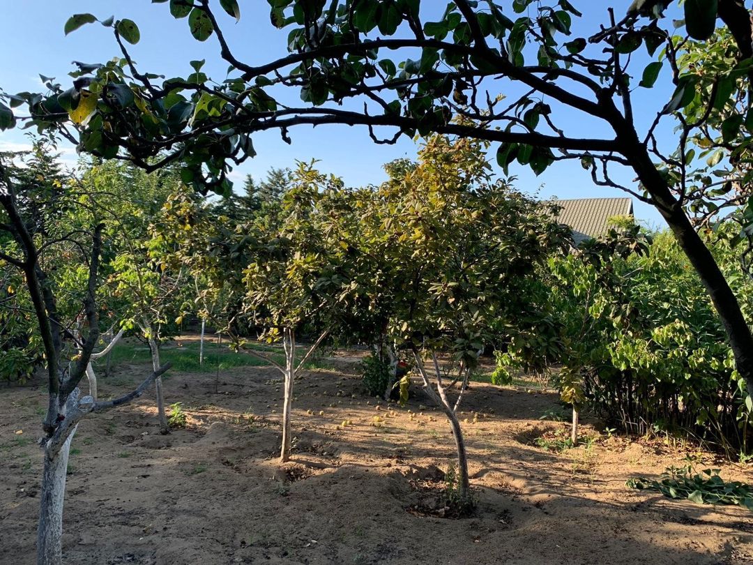 Satılır 6 otaqlı həyət evi/bağ evi 420 m² — Ev, villa, Bakı (8)