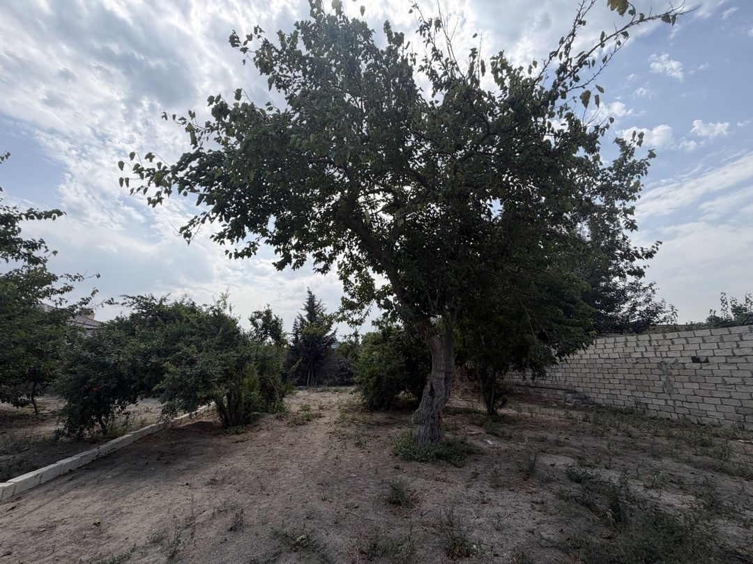 Satılır torpaq 11 sot — Torpaq, Bakı (6)