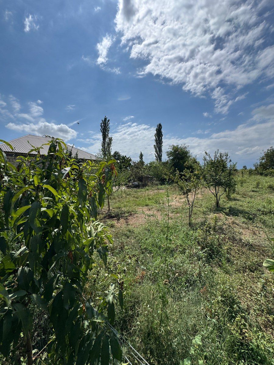 12 sot torpaq sahəsi, Qusar r — Torpaq, Qusar (4)