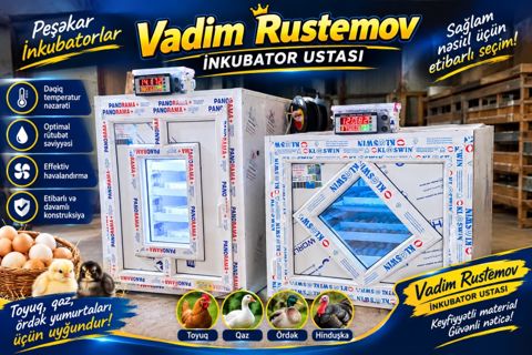 İnkubator — Bakı