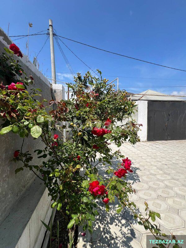 Satılır 3 otaqlı həyət evi/bağ evi 110 m², Məmmədli q — Ev, villa, Bakı (8)