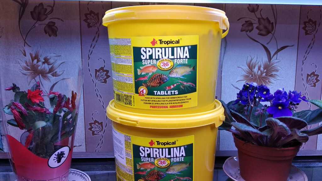 "Tropical Spirulina" balıq yemi — Akvariumlar və balıqlar, Bakı
