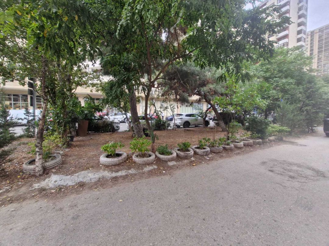 İcarəyə verilir obyekt 165 m² — Əmlak, Bakı (5)