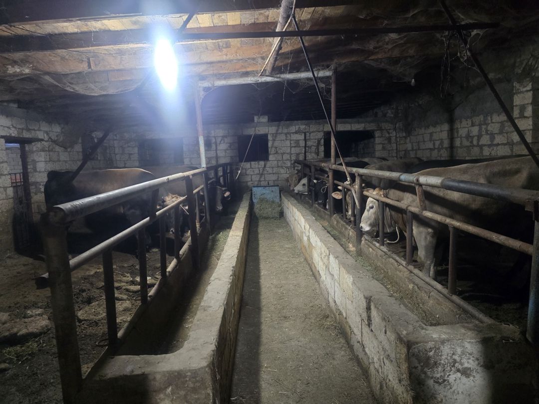 Həyət evi, Ceyranbatan qəs — Ev, villa, Sumqayıt (11)