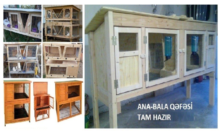 Cücə üçün Bruder. Toyuq Hini — Tibbi avadanlıqlar, Bakı (3)