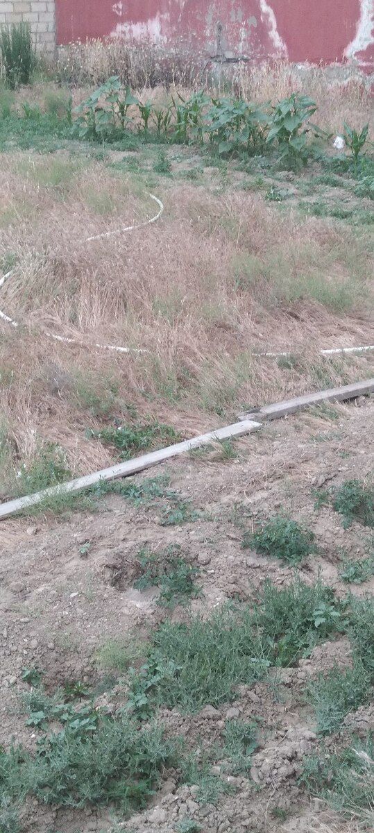 6 sot torpaq sahəsi, Novxanı k — Torpaq, Bakı (7)