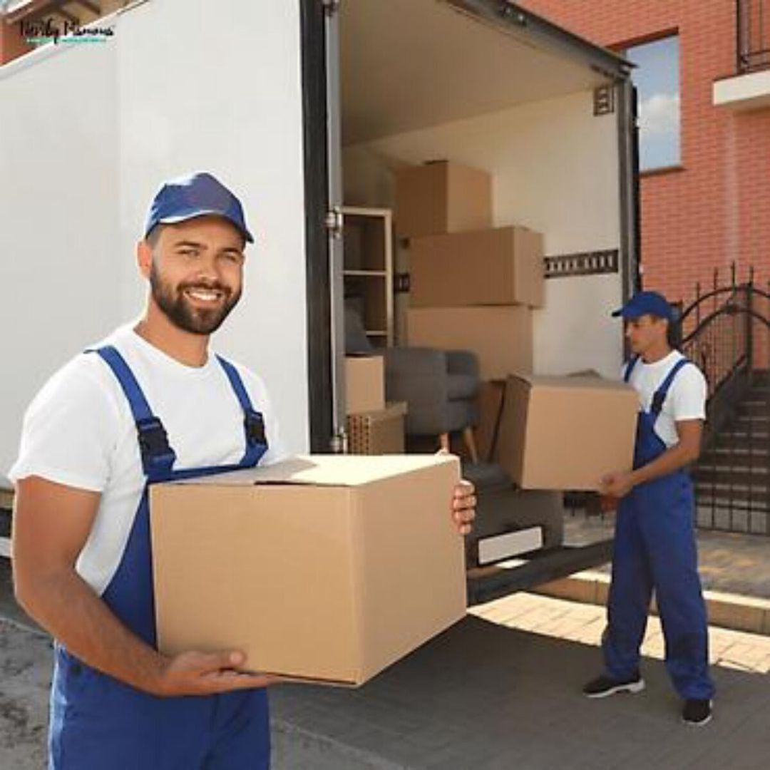 Yükdaşıma xidməti — Logistika, Bakı (9)