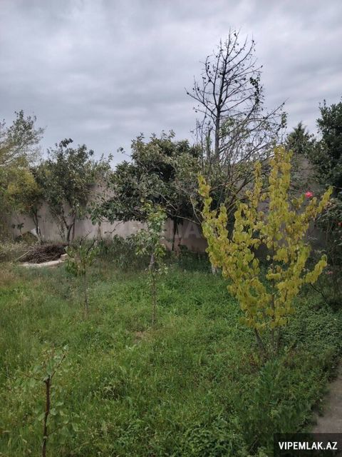 Xəzər rayonunda Torpaq Satılır, 15 sot — Bakı