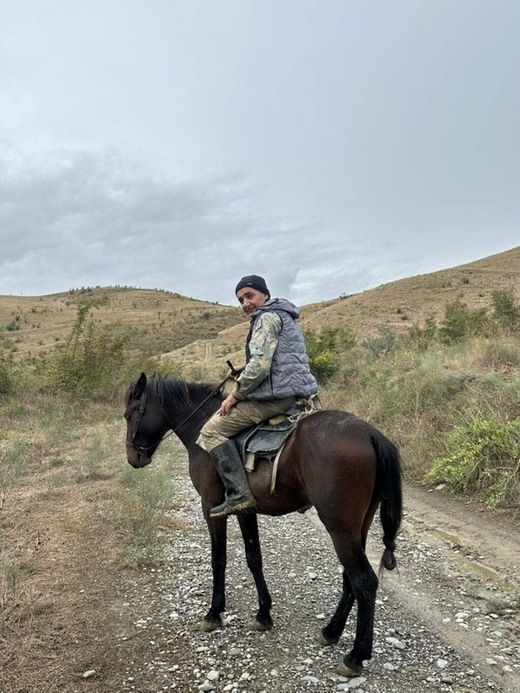 Erkək, il: 2 — Atlar, Bakı (3)
