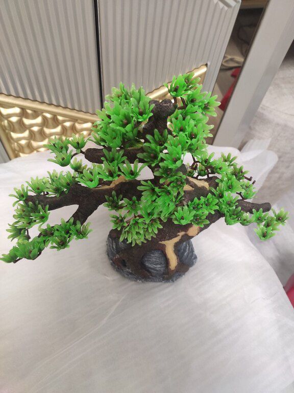 Akvarium dekoru — Akvariumlar və balıqlar, Bakı (3)