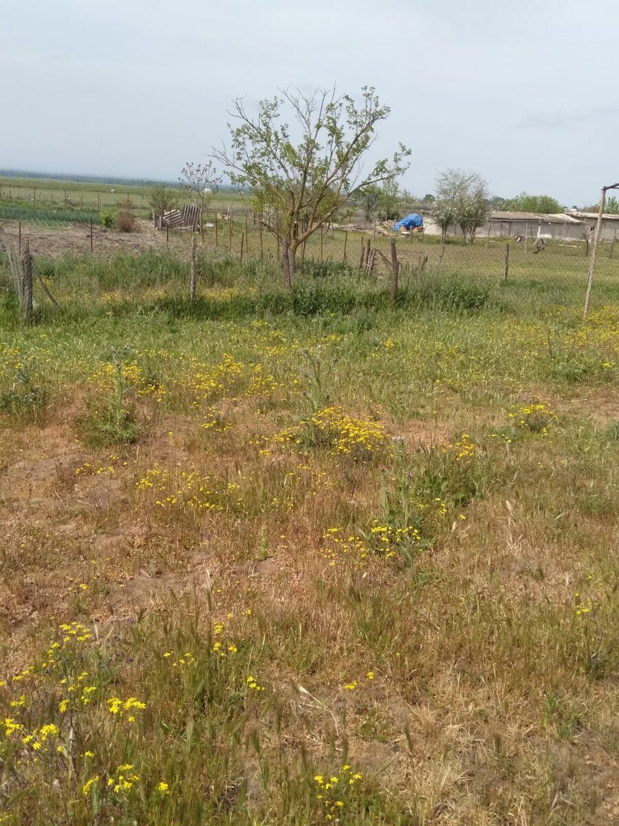 Həyət evi, Xaçmaz — Ev, villa, Xaçmaz (3)