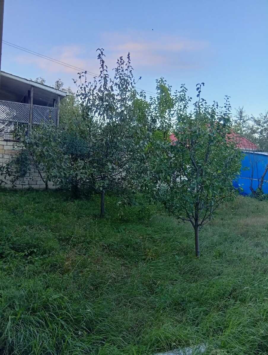 Satılır 7 otaqlı həyət evi/bağ evi 259.2 m² — Ev, villa, Quba (8)