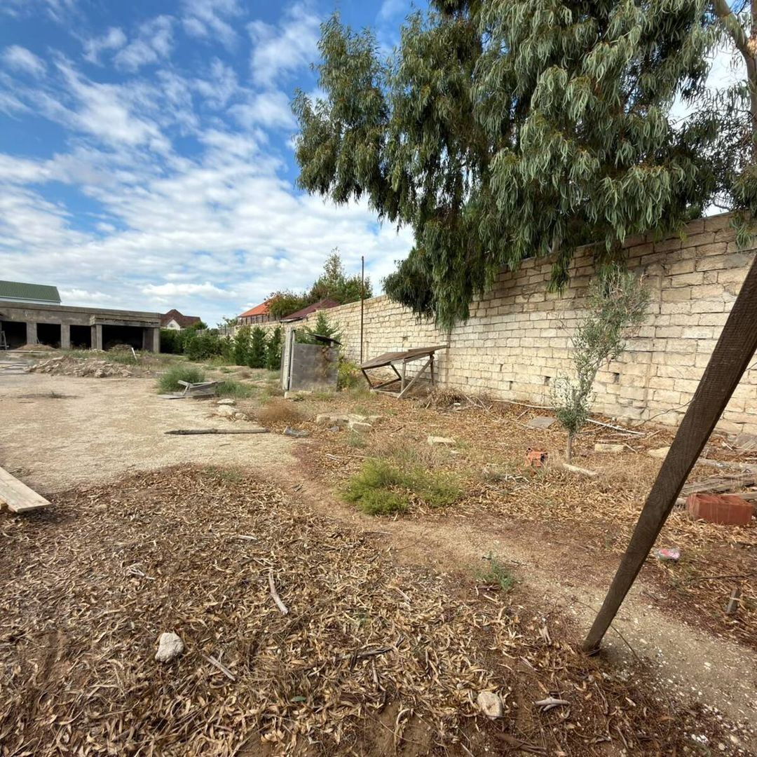 Satılır torpaq 20 sot — Torpaq, Bakı (2)