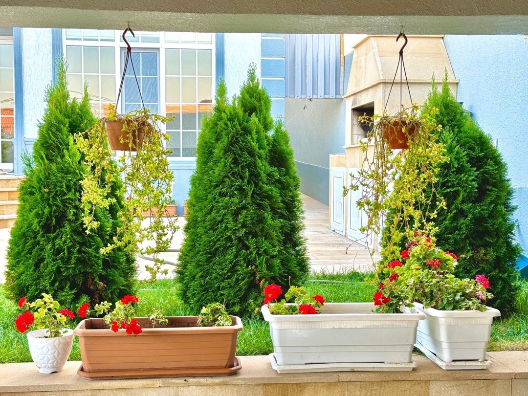 Bağ evi kirayə verilir, Mərdəkan qəs — Ev, villa, Bakı (7)