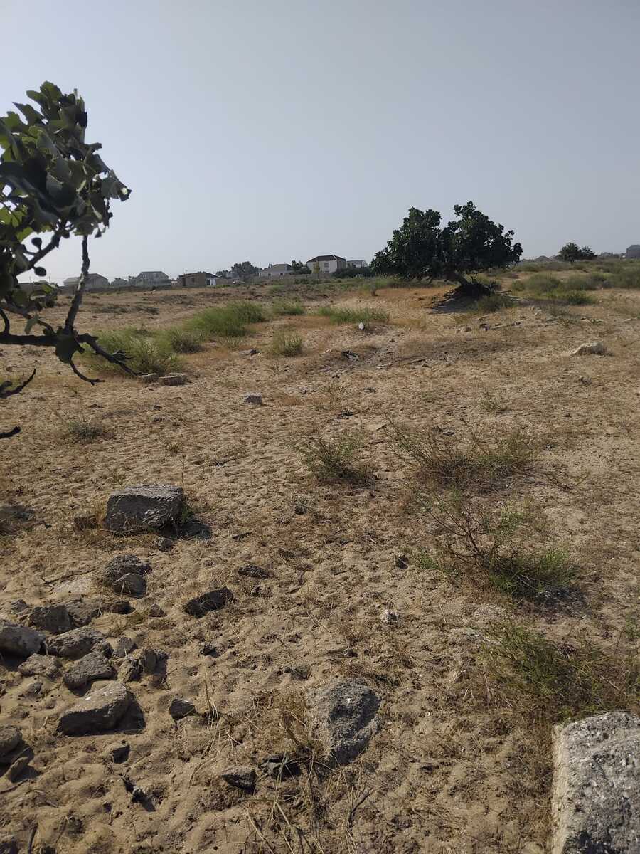 60 sot torpaq sahəsi, Zirə qəs — Torpaq, Bakı (6)