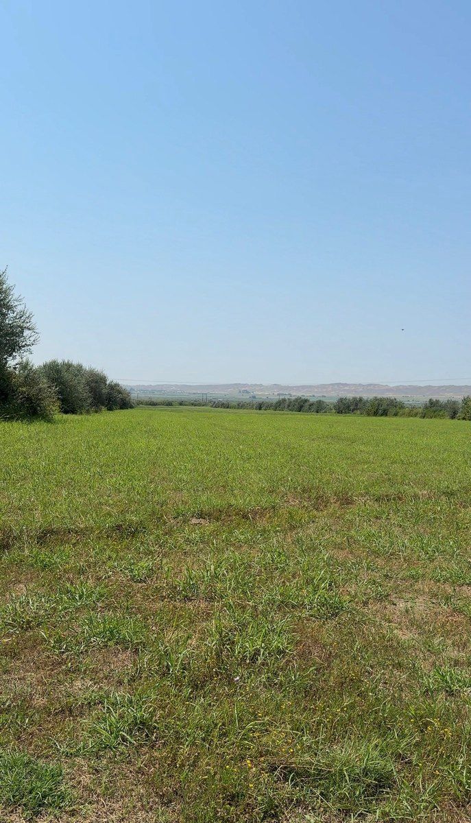 78000 sot torpaq sahəsi, Yevlax r — Torpaq, Yevlax (4)