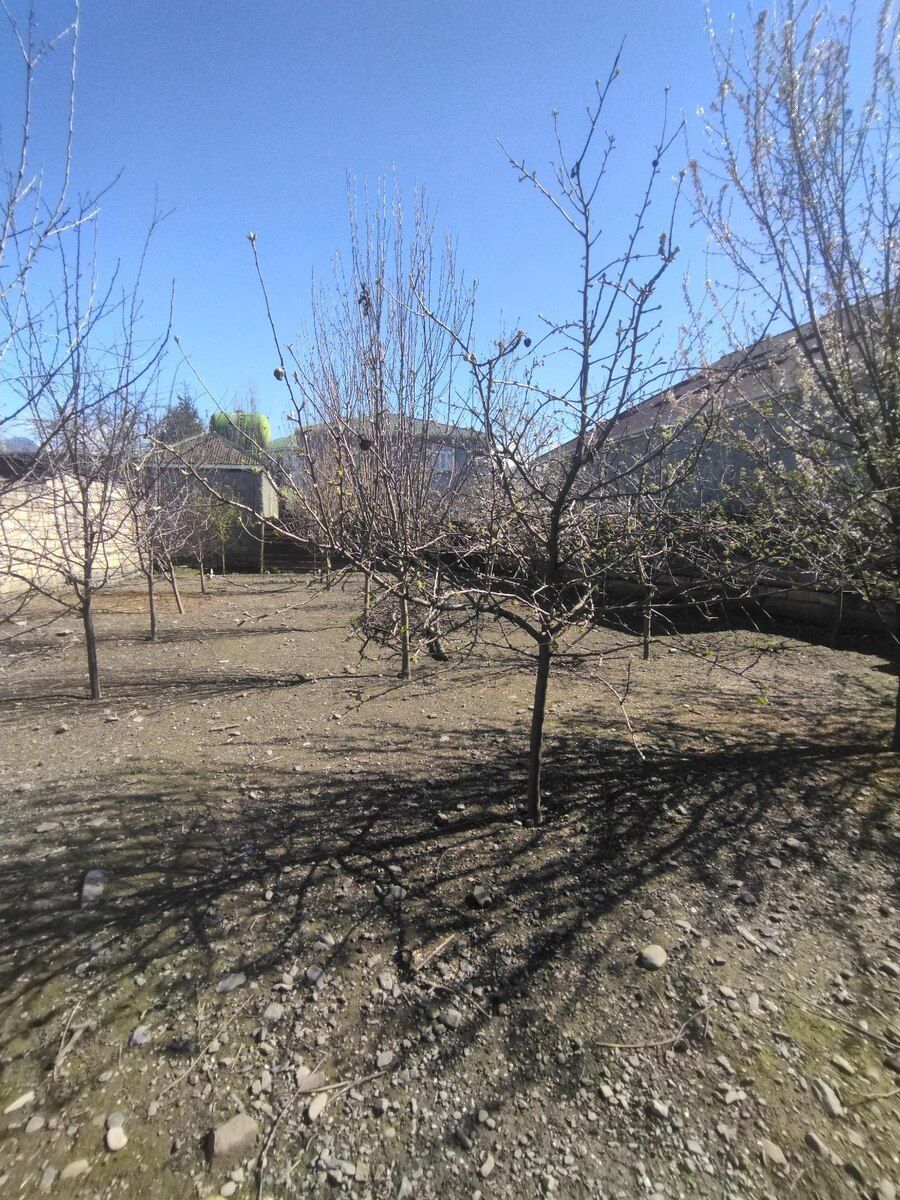 5 sot torpaq sahəsi, Qəbələ ş — Torpaq, Qəbələ (2)