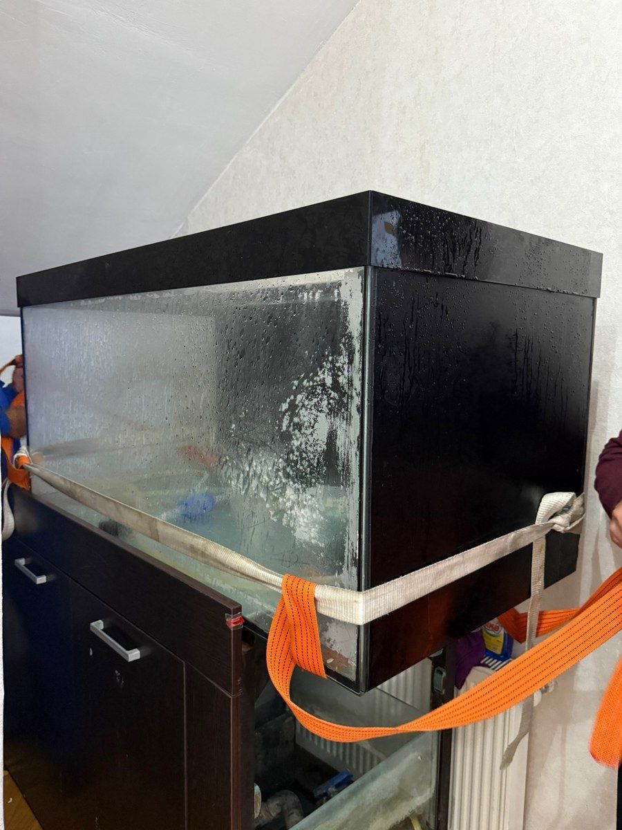 Akvarium — Akvariumlar və balıqlar, Sumqayıt