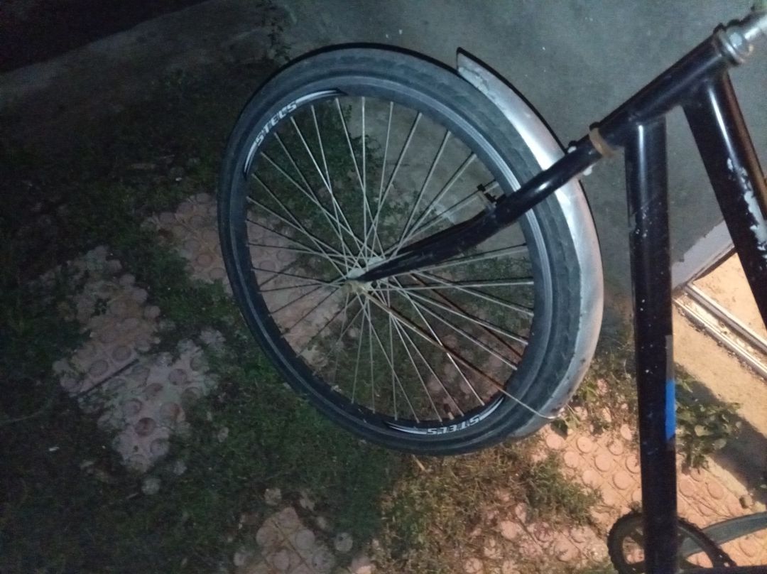 Velosiped 29 — Velosipedlər, Bakı (2)