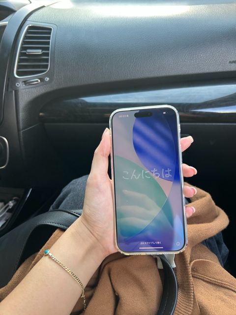 Apple iPhone 17 Pro Max Silver 256GB/12GB — Bakı