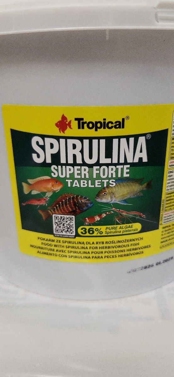 "Tropical Spirulina" balıq yemi — Akvariumlar və balıqlar, Bakı (3)