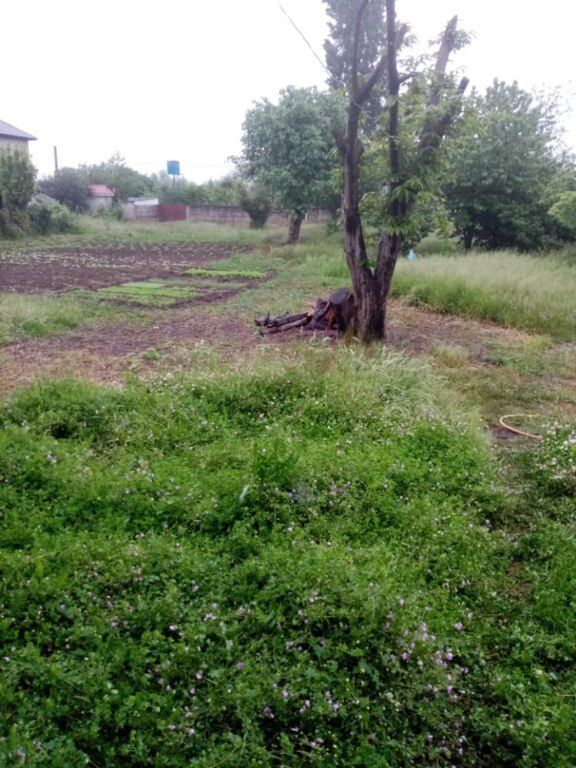 Həyət evi, Lənkəran ş — Ev, villa, Lənkəran (4)