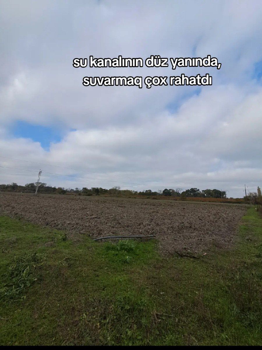 426 sot torpaq sahəsi, Şabran r — Torpaq, Şabran (2)
