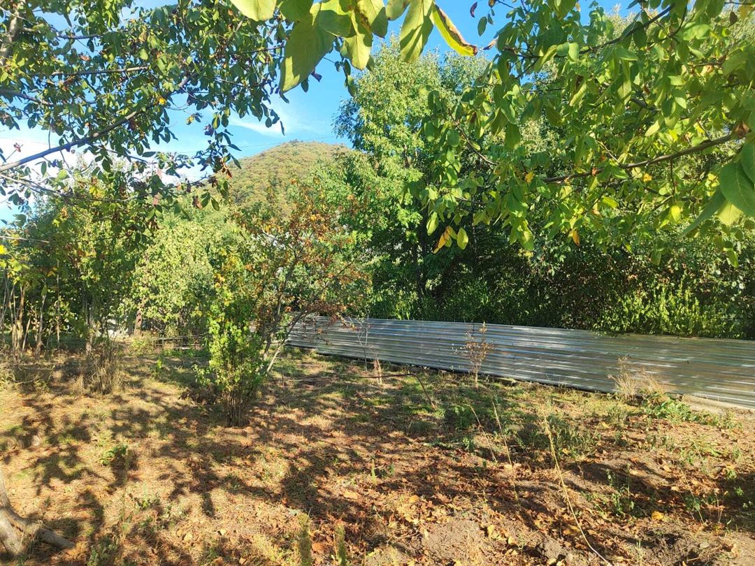 Satılır torpaq 5 sot — Torpaq, İsmayıllı (3)