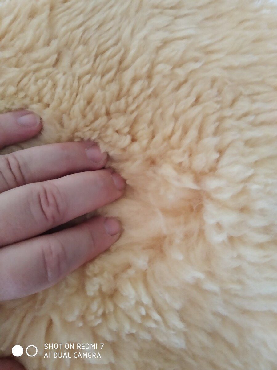 Merinos dərisi — Tekstil, Bakı (4)