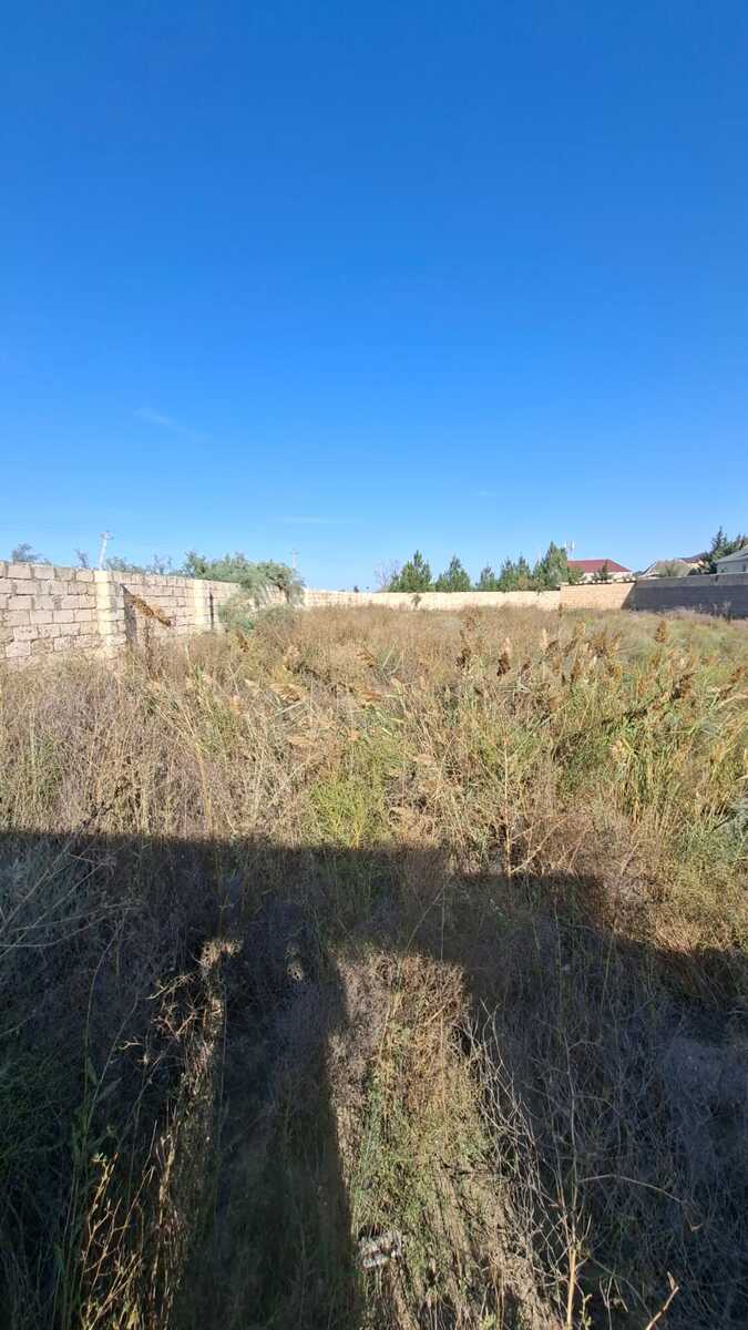 Satılır torpaq 8 sot — Torpaq, Bakı (7)