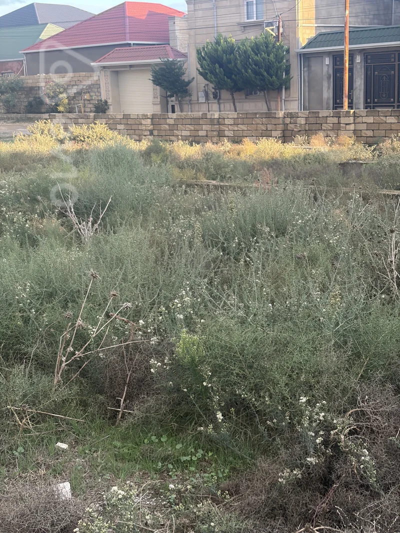 Torpaq sahəsi, 26 sot, Cavadzade — Torpaq, Bakı (2)