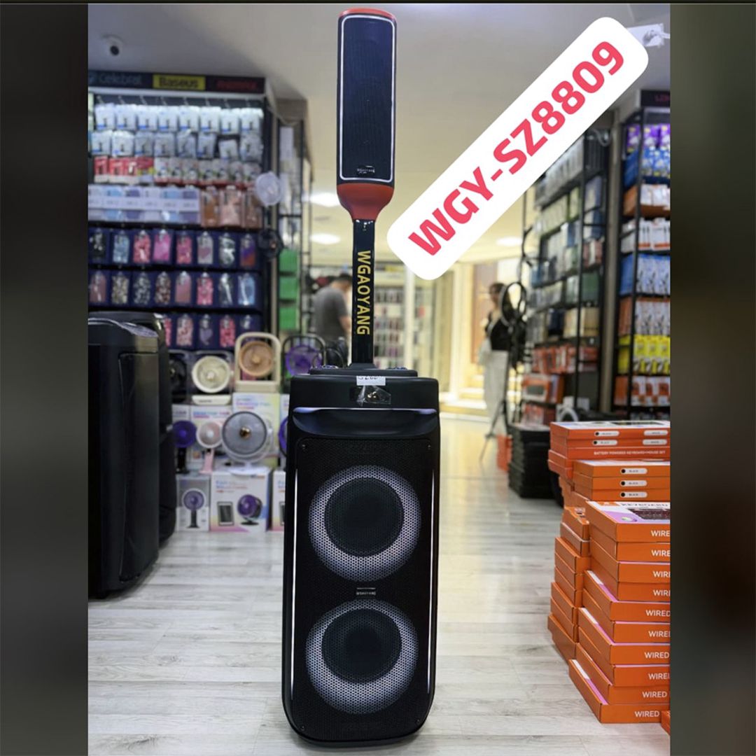 Dinamik Wgaoyang WGY-SZ8809 — Səs texnikası, Bakı