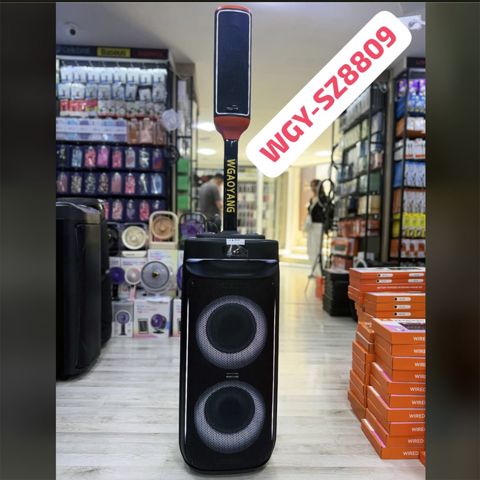 Dinamik Wgaoyang WGY-SZ8809 — Bakı