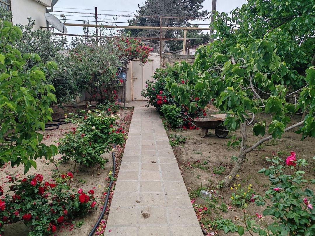 22 sot torpaq sahəsi, Novxanı qəs — Torpaq, Bakı (2)