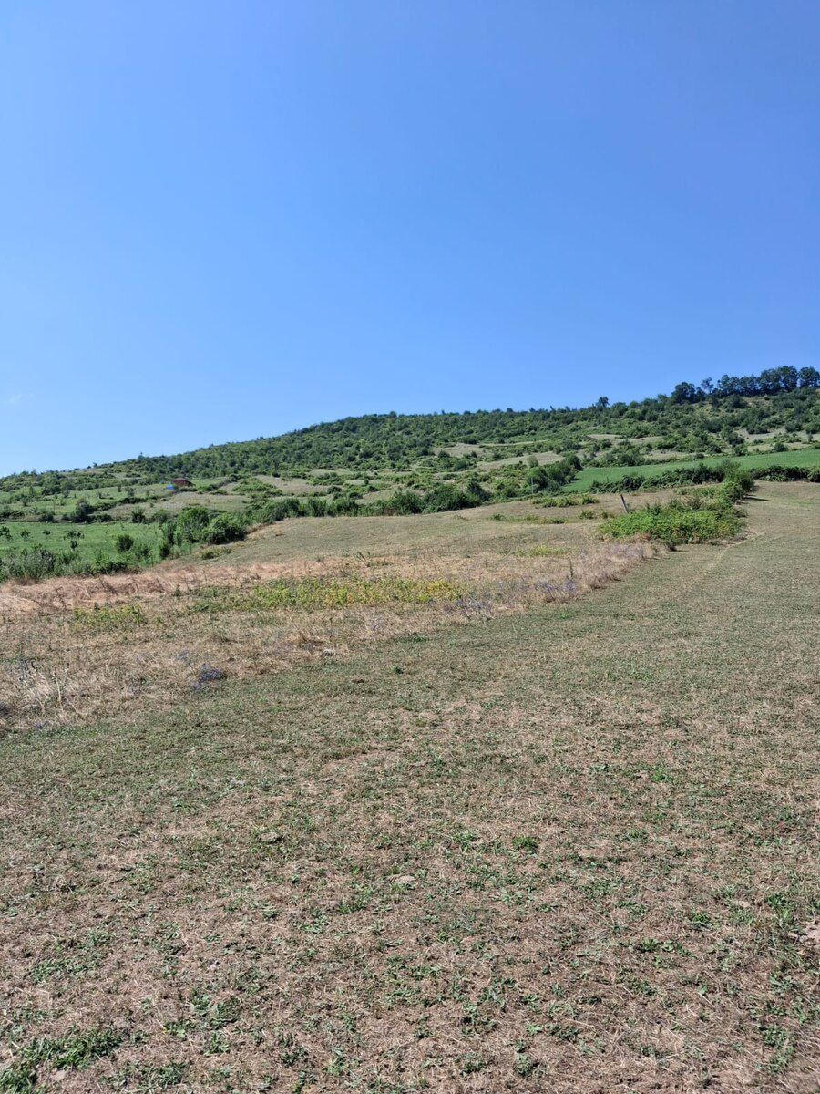 100 sot torpaq sahəsi, Quba ray — Torpaq, Quba (2)