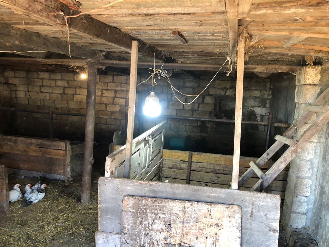 Bağ evi, Şamaxı r — Ev, villa, Şamaxı (11)
