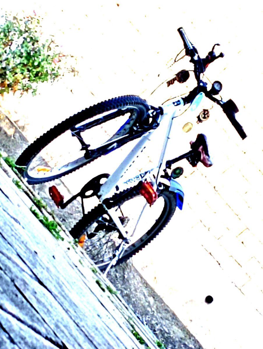 Velosiped 26 — Velosipedlər, Bakı