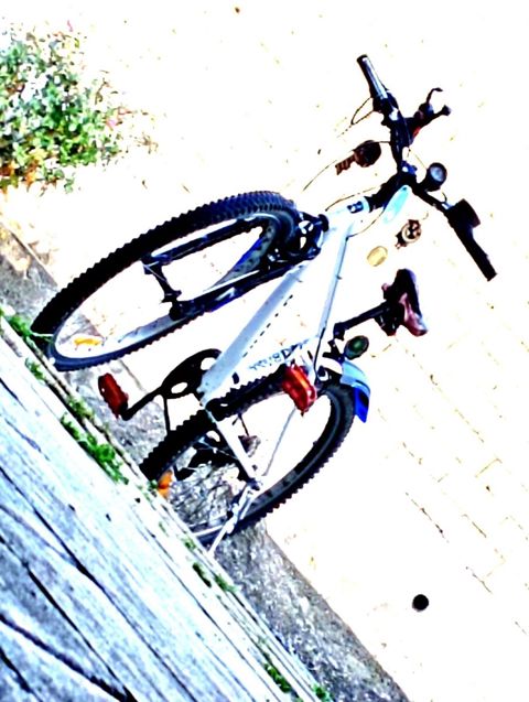 Velosiped 26 — Bakı