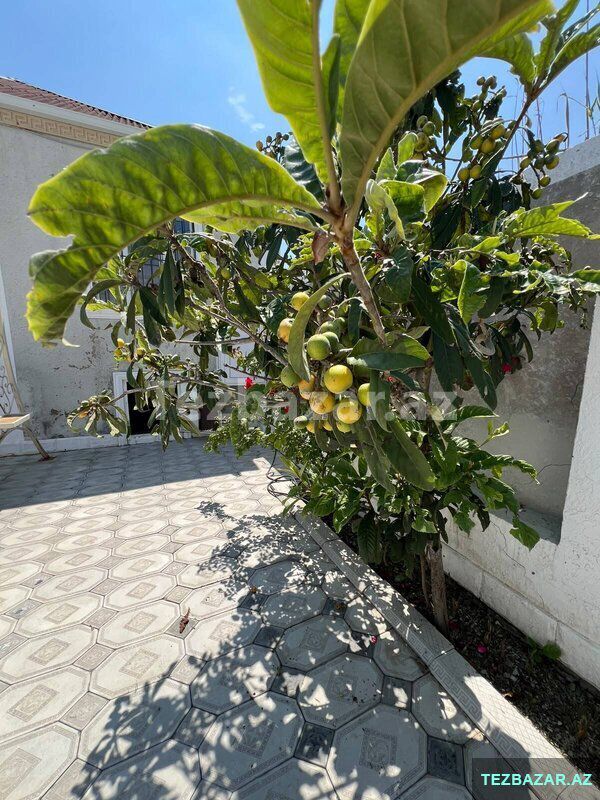 Satılır 3 otaqlı həyət evi/bağ evi 110 m², Məmmədli q — Ev, villa, Bakı (9)