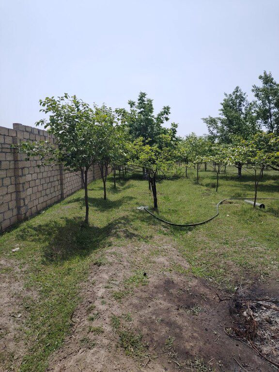 11.5 sot torpaq sahəsi, Bərdə r — Torpaq, Bərdə (3)