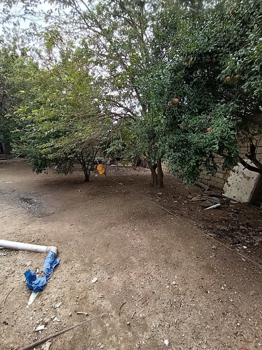 Satılır torpaq 6 sot — Torpaq, Bakı (4)