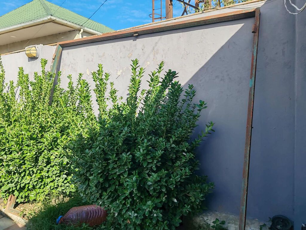 Metal darvaza dəsti 3x2.60m - Material: qalın metal vərəqdən — Pəncərələr, qapılar, balkonlar, Bakı (3)