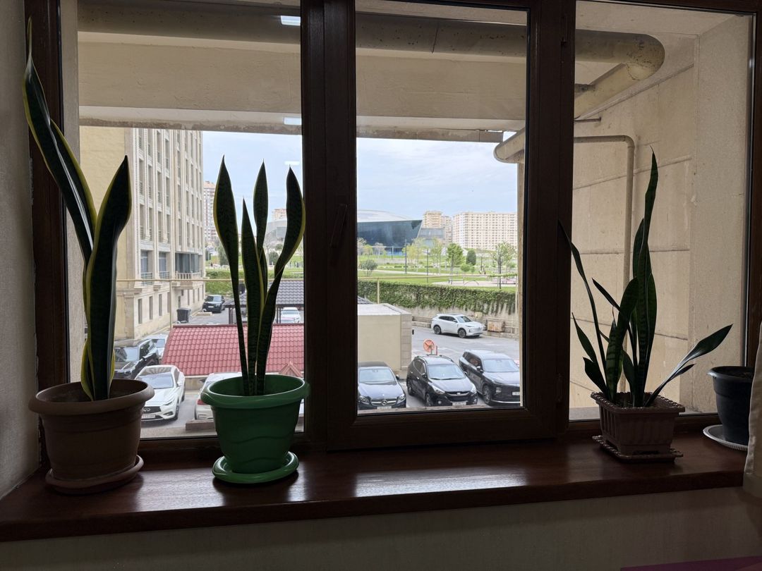 Satılır obyekt 190 m² — Əmlak, Bakı (9)