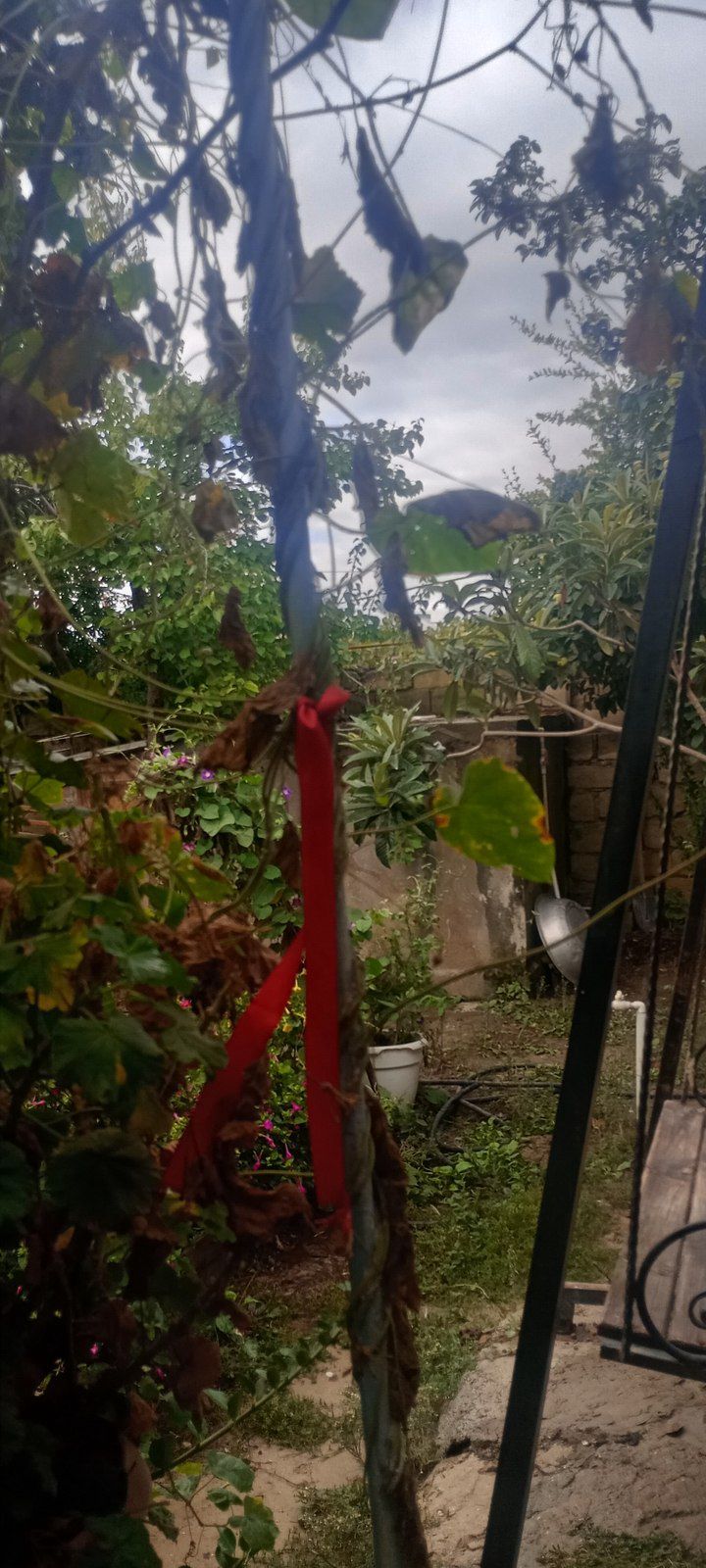 Satılır 3 otaqlı həyət evi/bağ evi 110 m² — Ev, villa, Bakı (6)